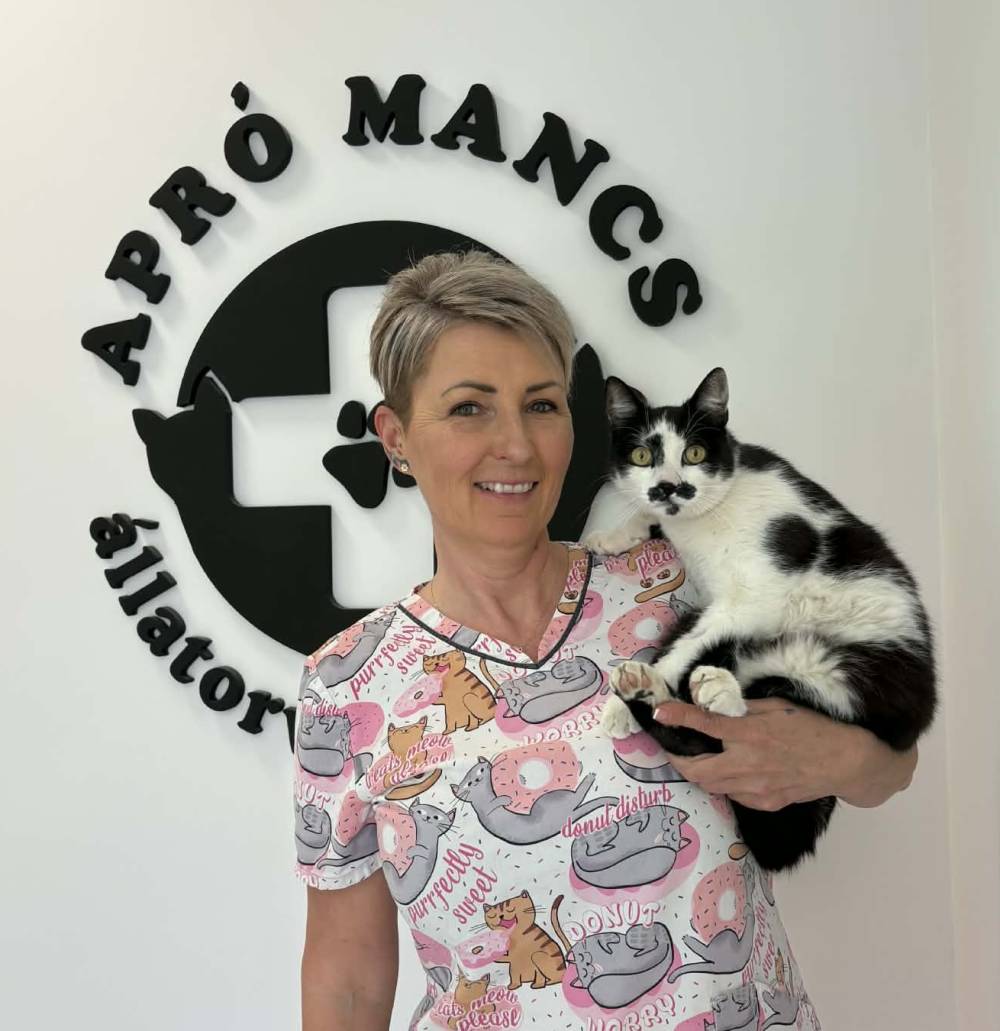 Soltész-Vekerdi Szilvia